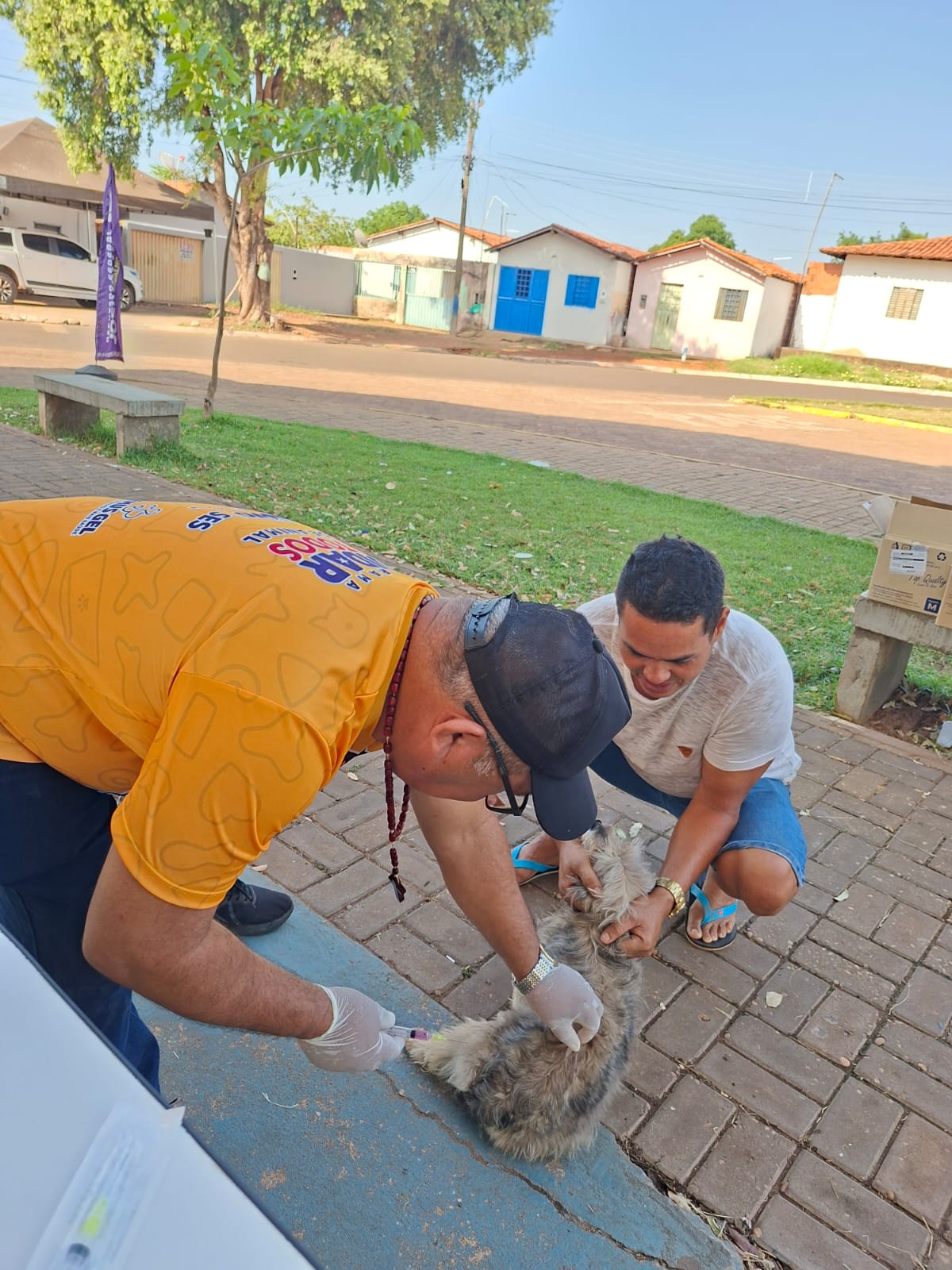 Dia “D” de Vacinação Antirrábica 2025