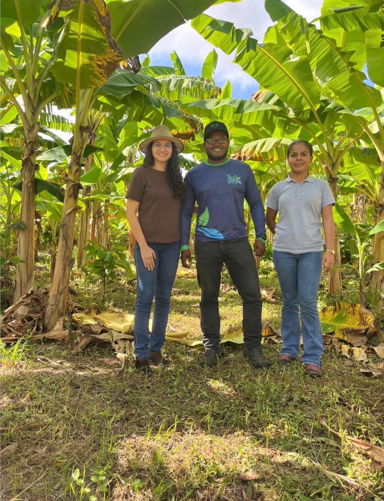 Agricultura familiar