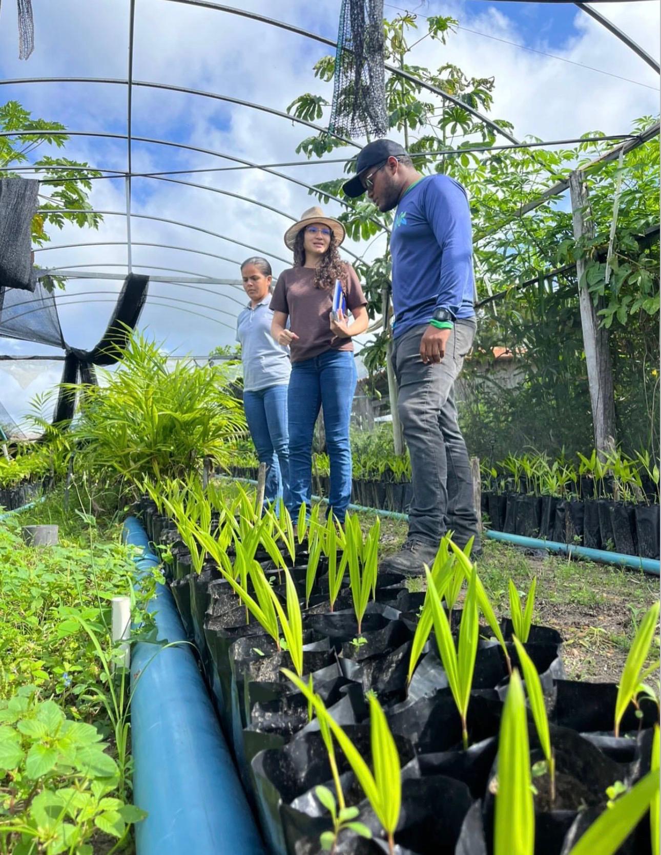 Agricultura familiar