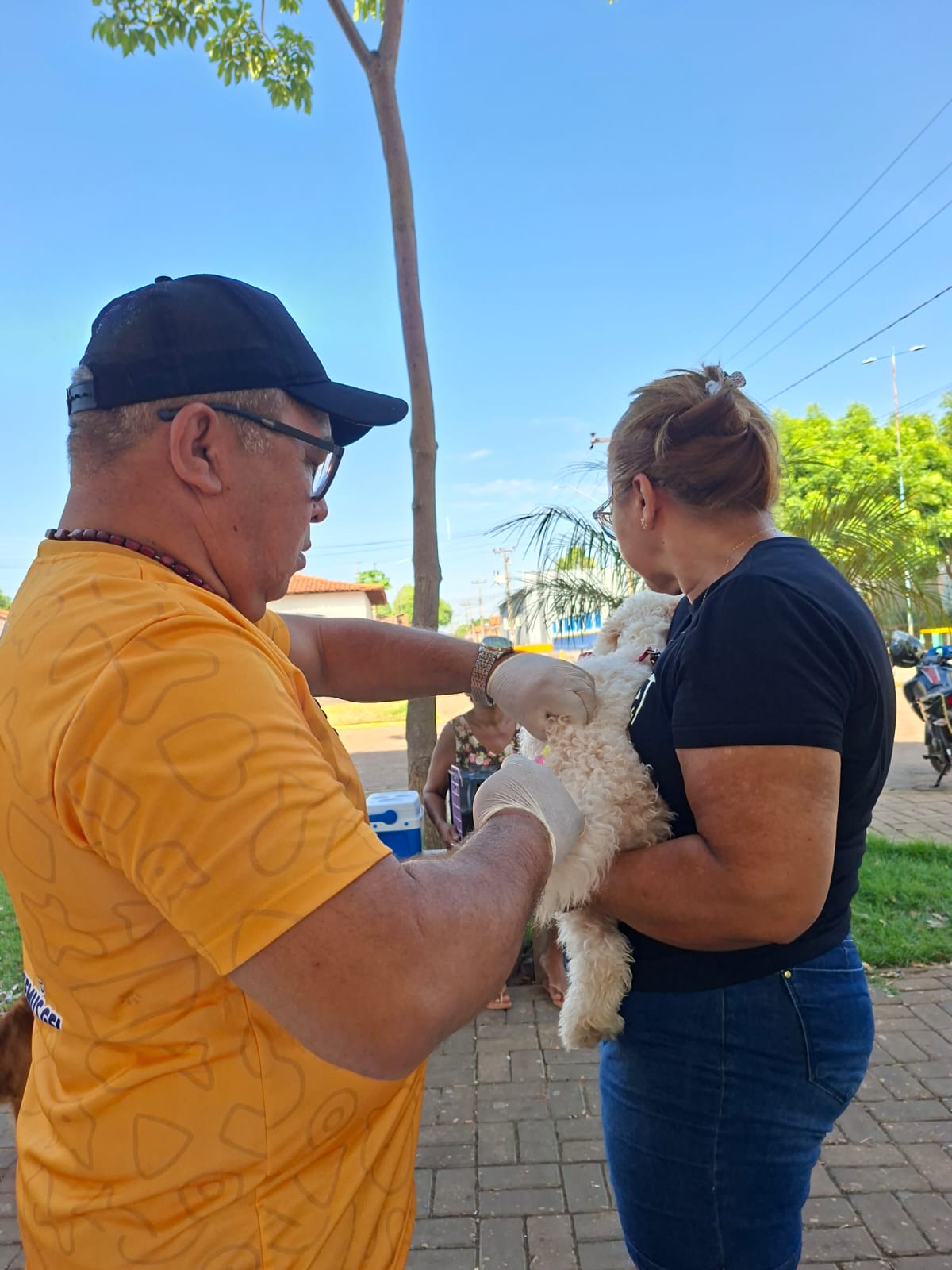 Dia “D” de Vacinação Antirrábica 2025