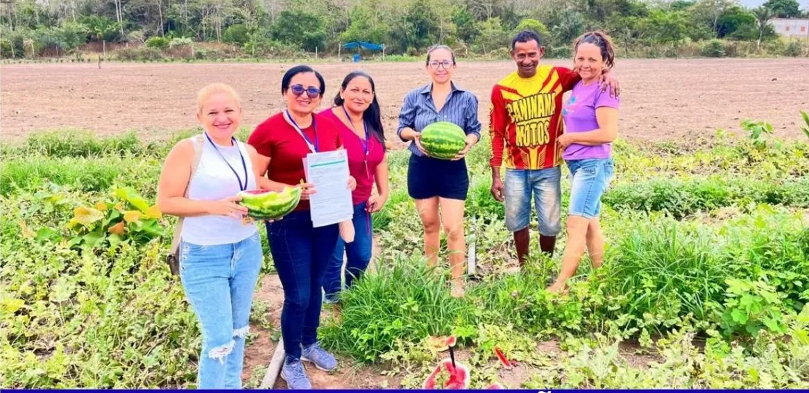 CONSELHO DE ALIMENTAÇÃO ESCOLAR
