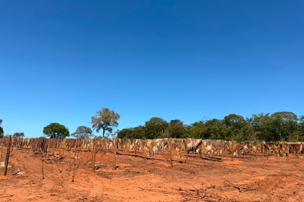 Prefeitura apura denúncias sobre atividade de secagem de couro na localidade Santa Isabel