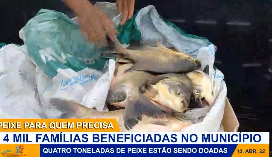 Quatro toneladas de peixe serão distribuídas pela prefeitura para famílias de baixa renda