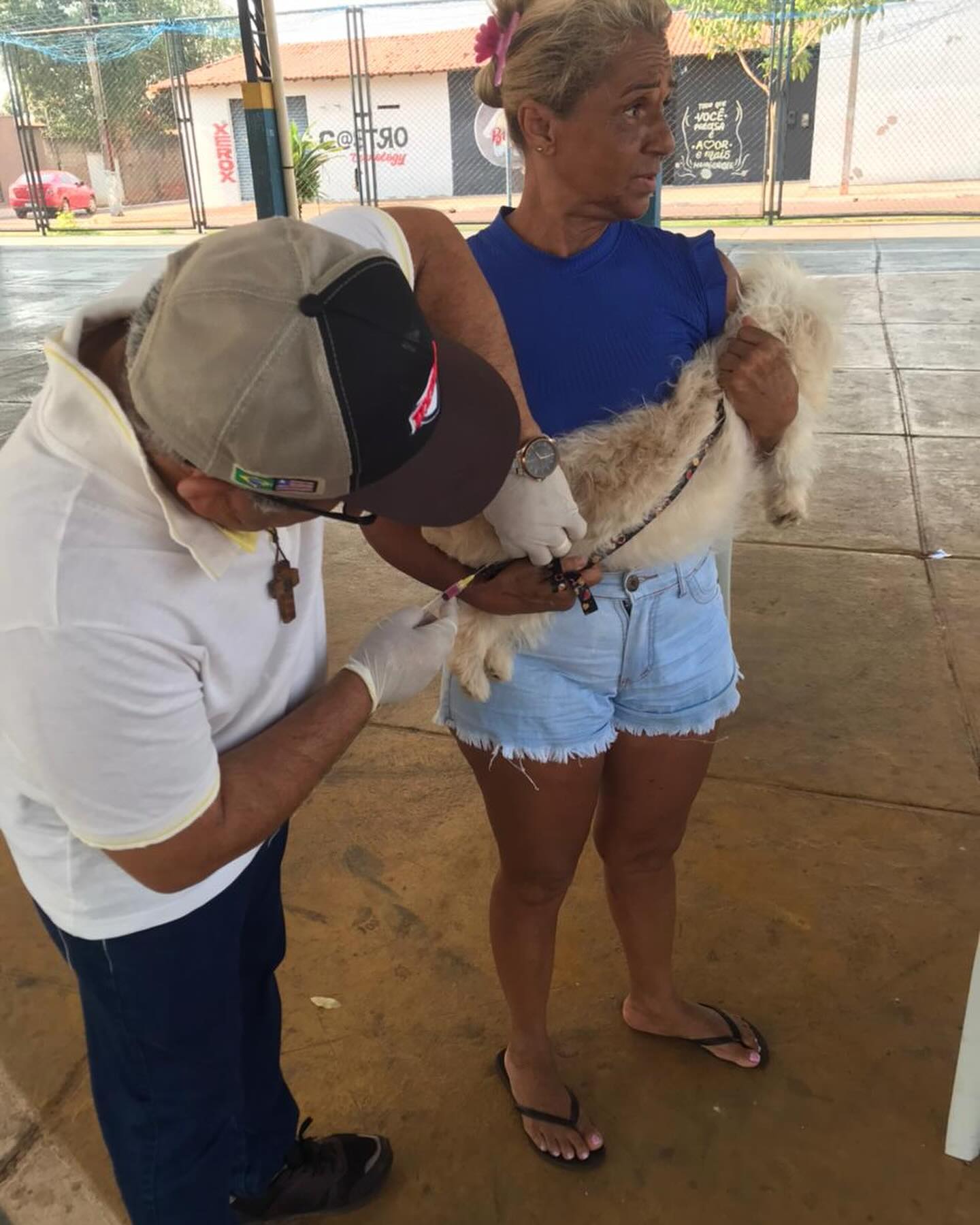 Dia D de vacinação contra raiva de cães e gatos vacinou centenas de animais nos postos de vacinação instalados no sábado dia 21 na sede e zona rural