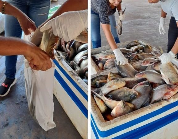 Prefeitura faz a tradicional distribuição de peixes na Semana Santa para famílias carentes de Governador Edison Lobão